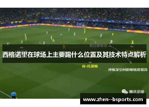 西格诺里在球场上主要踢什么位置及其技术特点解析