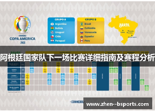阿根廷国家队下一场比赛详细指南及赛程分析